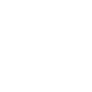 Cartier - MIRS Drone Show