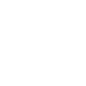 Cartier - MIRS Drone Show