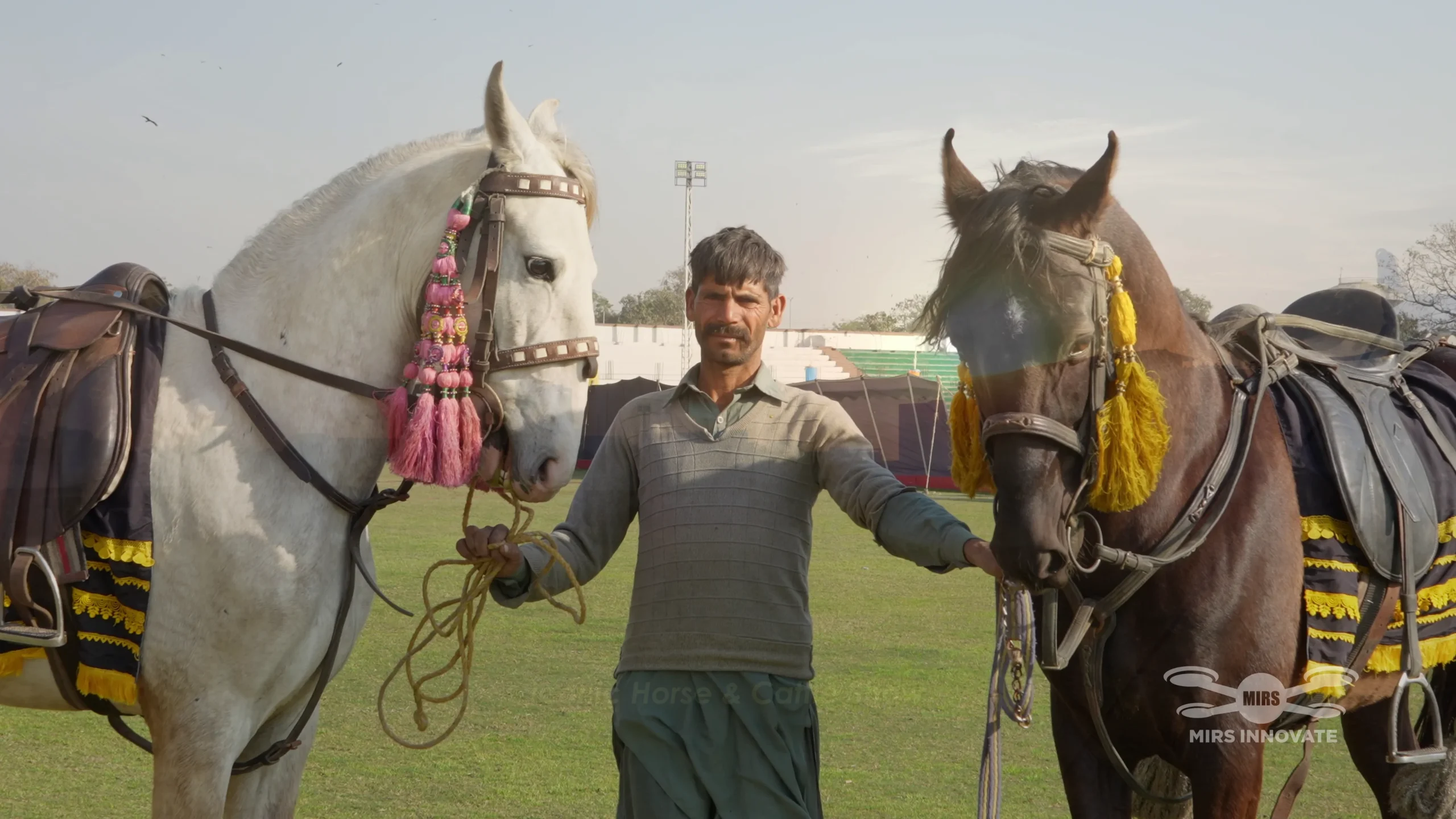 National Horse and Cattle Show event title formation created by 1,000 drones above Fortress Stadium in Lahore