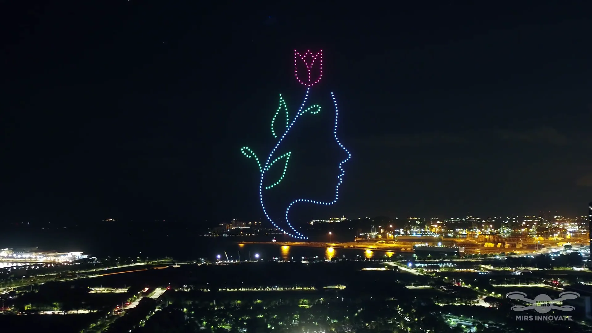 25th World Congress of Dermatology drone show Singapore - 25Th World Congress Dermatology Face Flower Formation Gardens By