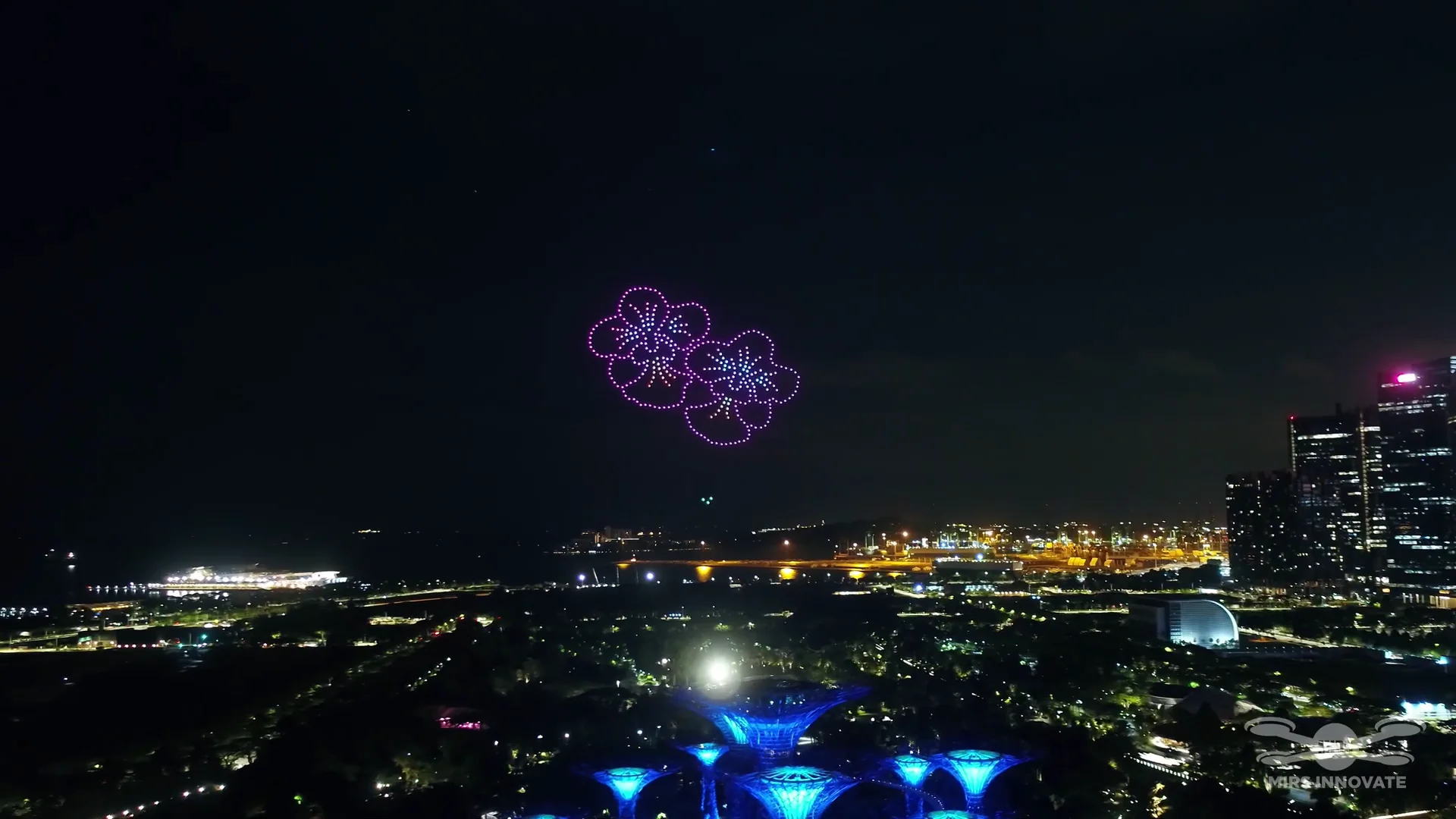 25th World Congress of Dermatology drone show Singapore - 25Th World Congress Dermatology Orchid Flower Formation Gardens By