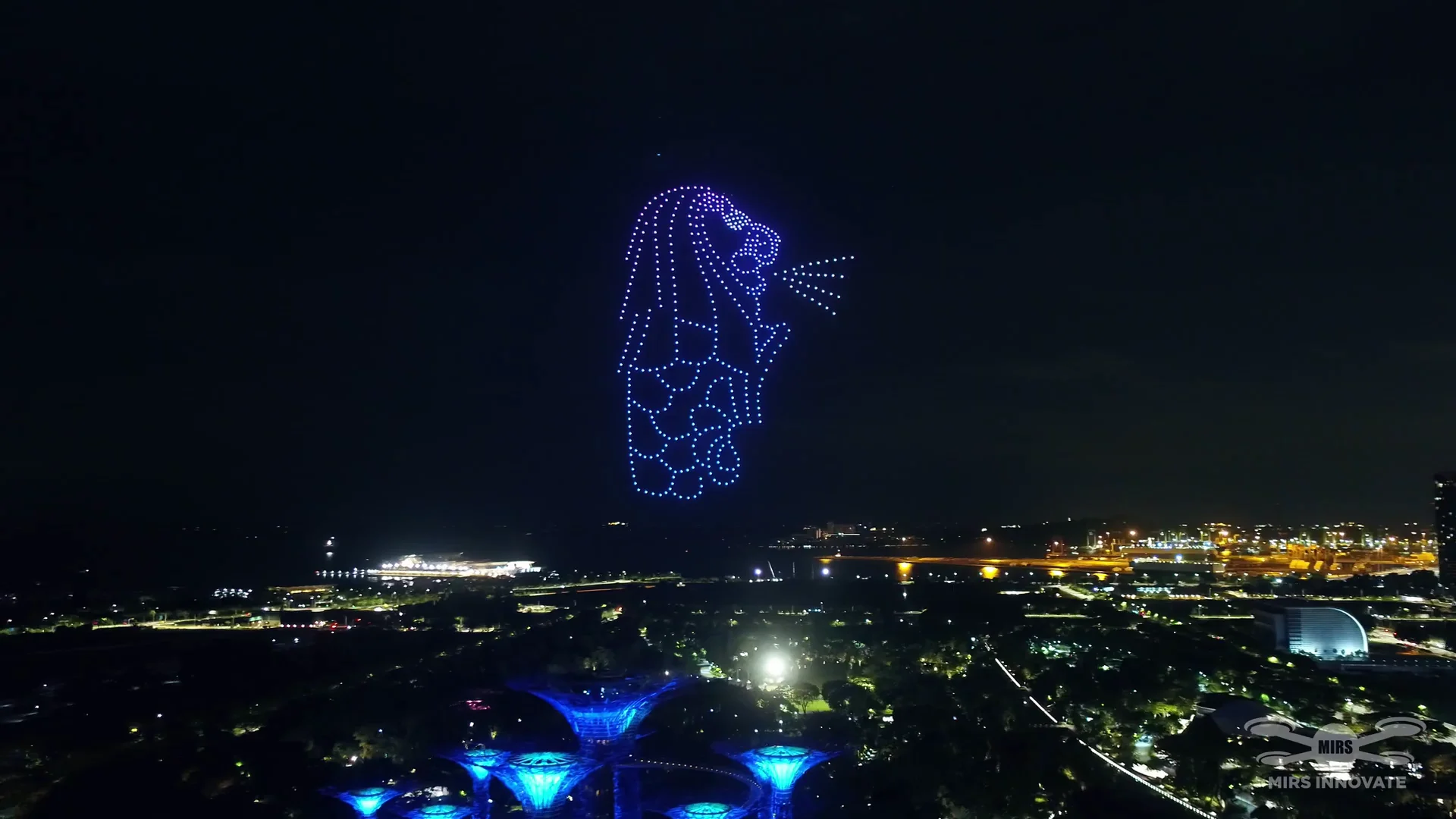 25th World Congress of Dermatology drone show Singapore - 25Th World Congress Dermatology Wcd 2023 Logo Formation Gardens